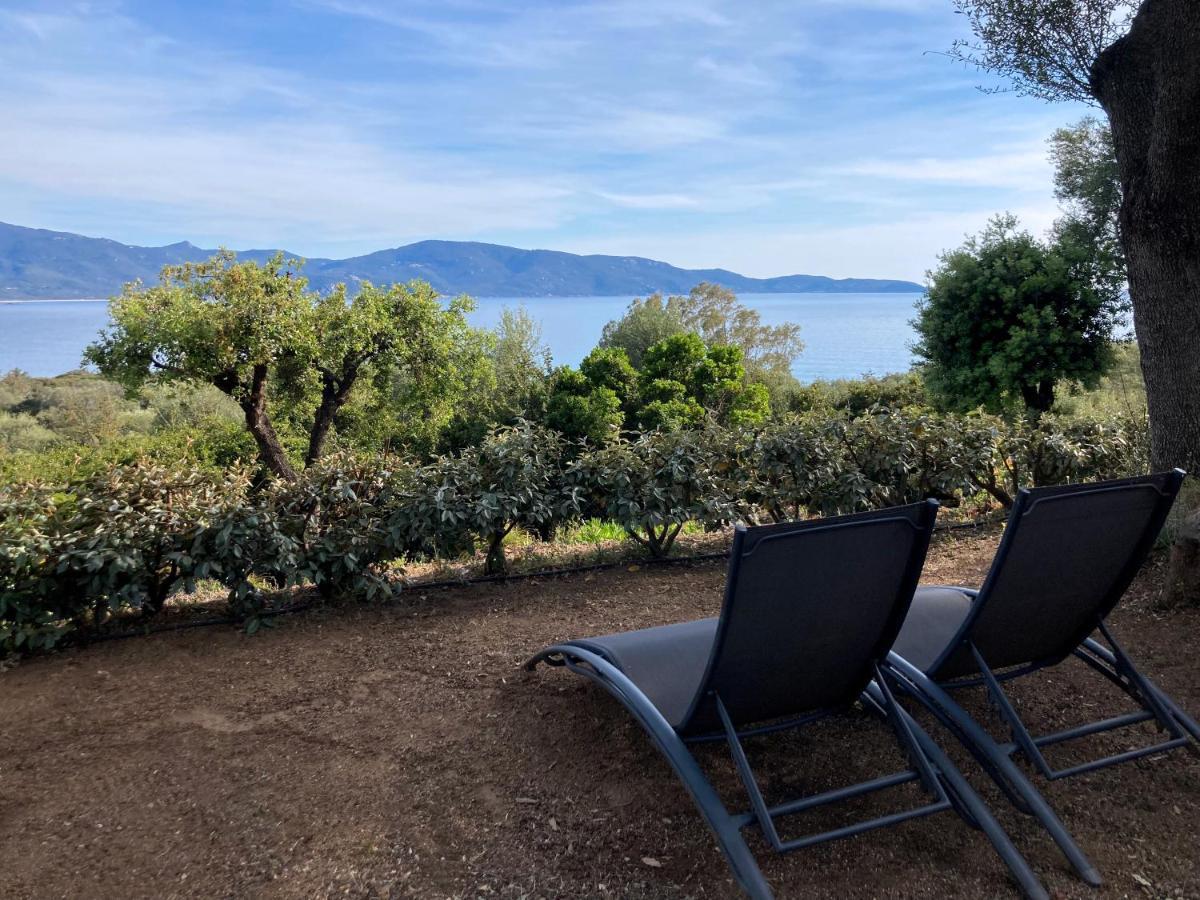 Appartamento Ogliastrello Olmeto  Esterno foto